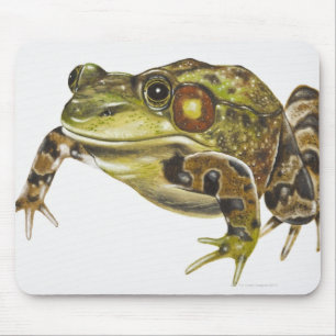 Tapis De Souris Illustration de Digitals de grenouille verte