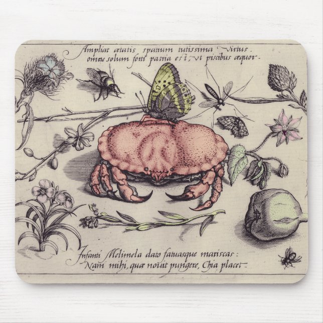Tapis De Souris Illustration de fleur d'insecte botanique de crabe (Devant)