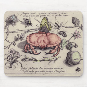 Tapis De Souris Illustration de la fleur d'insectes botaniques du 