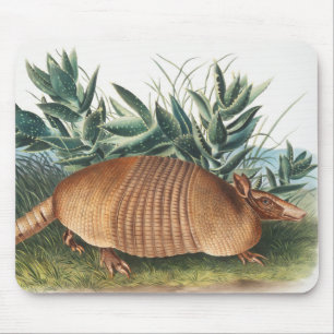 Tapis De Souris Illustration de l'Armadillo (Dasypus Peba) à neuf 