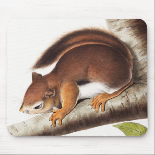Tapis De Souris Illustration de l'écureuil colombien de Richardson