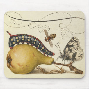 Tapis De Souris Illustration de l'insecte du fruit du papillon