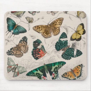 Tapis De Souris Illustration de papillon antique : 1820 Orfèvre