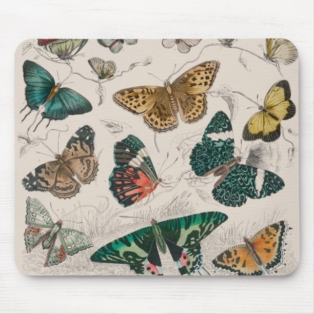 Tapis De Souris Illustration de papillon antique : 1820 Orfèvre (Devant)