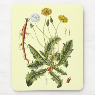 Tapis De Souris Illustration de pissenlit vintage