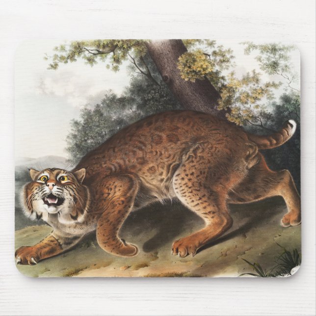 Tapis De Souris Illustration du chat sauvage américain (Lynx rufus (Devant)