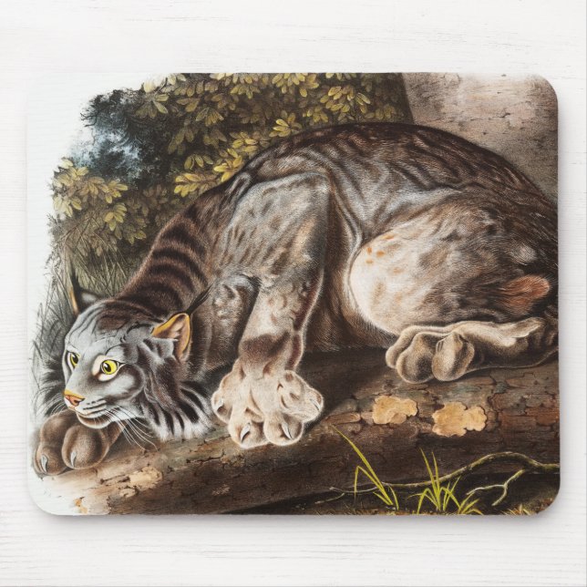 Tapis De Souris Illustration du Lynx du Canada (Lynx Canadensis) (Devant)