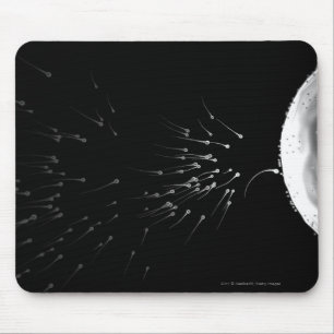 Tapis De Souris Illustration noire et blanche de la fertilisation