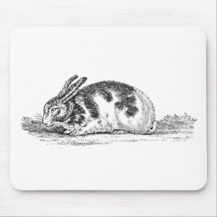 Tapis De Souris Illustration vintage de lapin - lapins 1800's