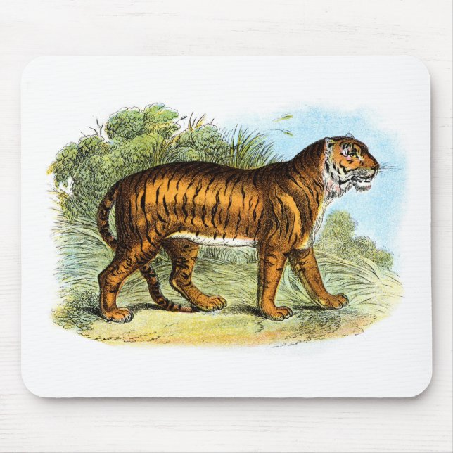 Tapis De Souris Illustration vintage du tigre Mousepad (Devant)