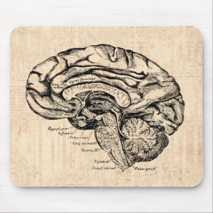 Tapis De Souris Illustration vintage Mousepad de cerveau