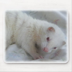 Tapis De Souris Image de furet albinos