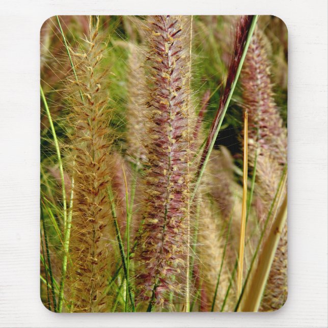 Tapis De Souris Image de photographie d'herbe de vulpin macro (Devant)
