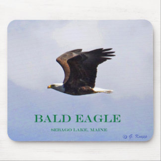 Tapis De Souris IMG_0109cnT