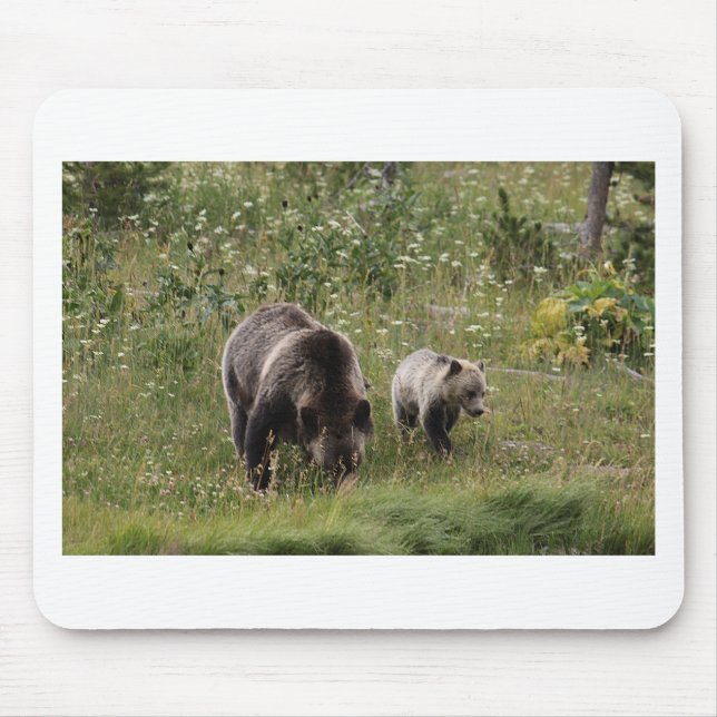 TAPIS DE SOURIS IMG_1328_1 (Devant)