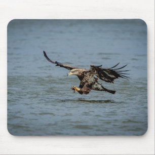 Tapis De Souris Immature Bald Eagle plongée pour un poisson