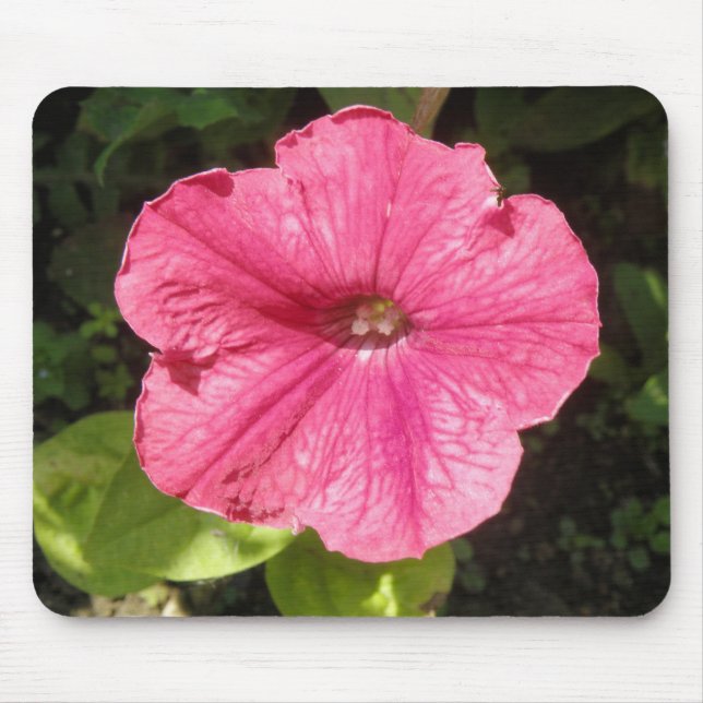Tapis De Souris Impatiens Mousepad rose foncé (Devant)