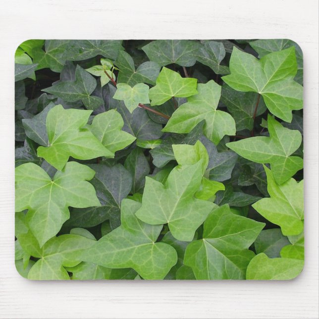 Tapis De Souris Impression botanique verte Ivy (Devant)