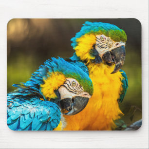 Tapis De Souris Impression d'art mural photographique de faune Com