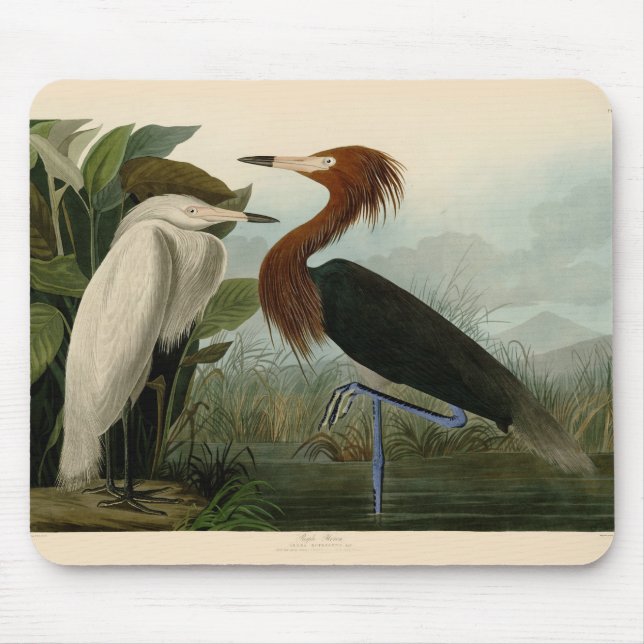 Tapis De Souris Impression de Héron Pourpré d'Audubon : Art d'Oise (Devant)