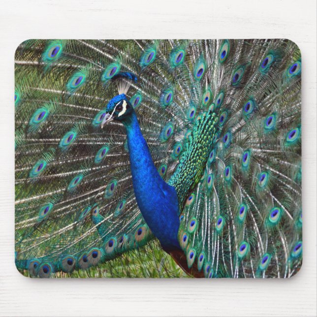 Tapis De Souris Impression de paon coloré (Devant)