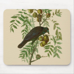 Tapis De Souris Impression d'oiseau Grackle violet d'Audubon Botan