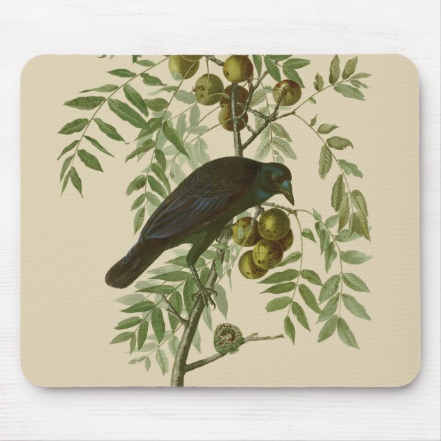 Tapis De Souris Impression d'oiseau Grackle violet d'Audubon Botan (Devant)