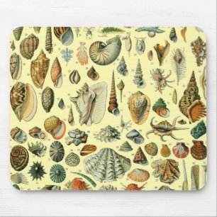 Tapis De Souris Impression vintage de coquillages d'Adolphe Millot