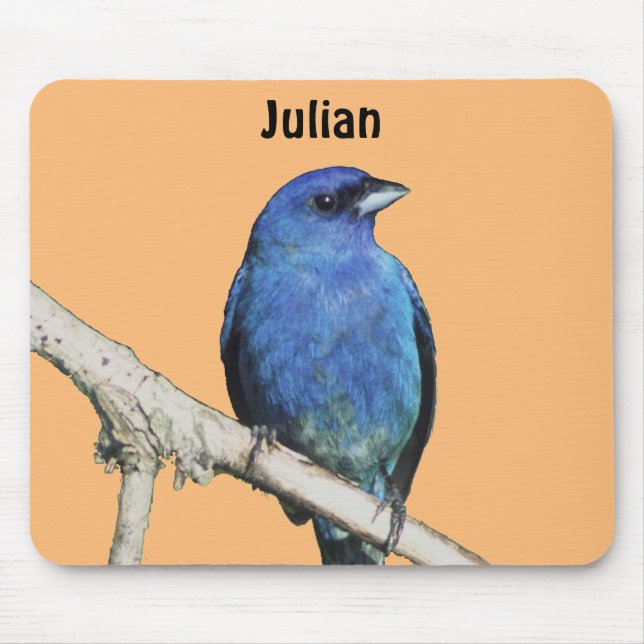 Tapis De Souris Indigo Bunting (Devant)