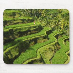 Tapis De Souris Indonésie, Bali Rizières