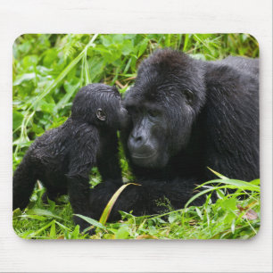 Tapis De Souris Infant Mountain Gorilla Kisses Silverback
