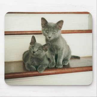 Tapis De Souris Innocence Mousepad