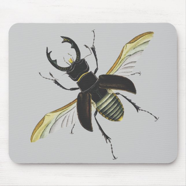 Tapis De Souris Insecte (Devant)