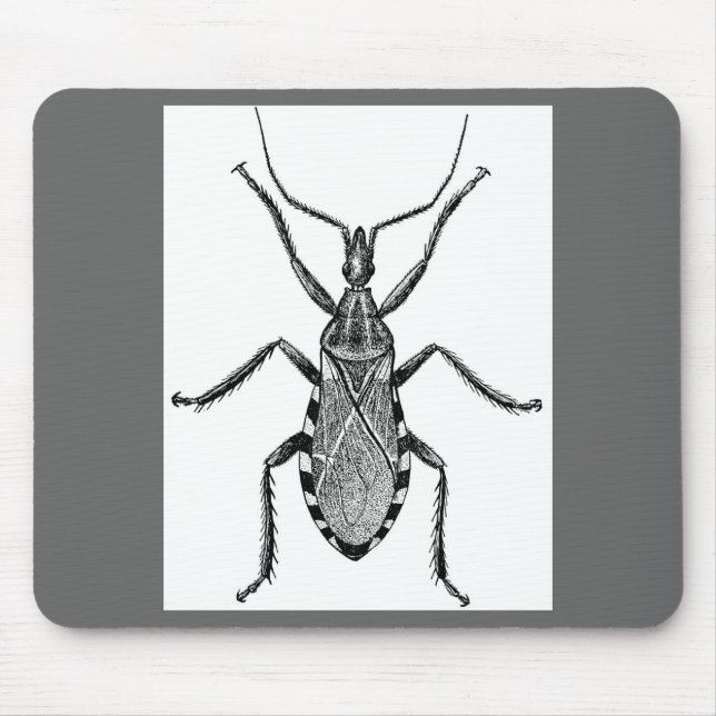 Tapis De Souris Insecte de Conenose - cru (Devant)