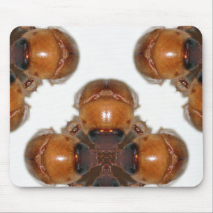 Tapis De Souris Insecte de juin recueillant par KLM
