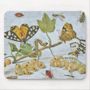 Tapis De Souris Insectes rampants