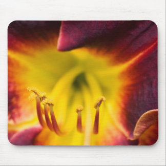 Tapis De Souris insidelily