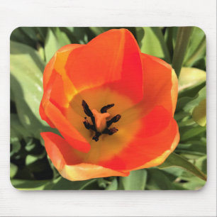 Tapis De Souris Intérieur de la tulipe orange