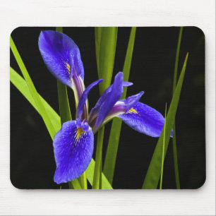 Tapis De Souris Iris bleu Mousepad