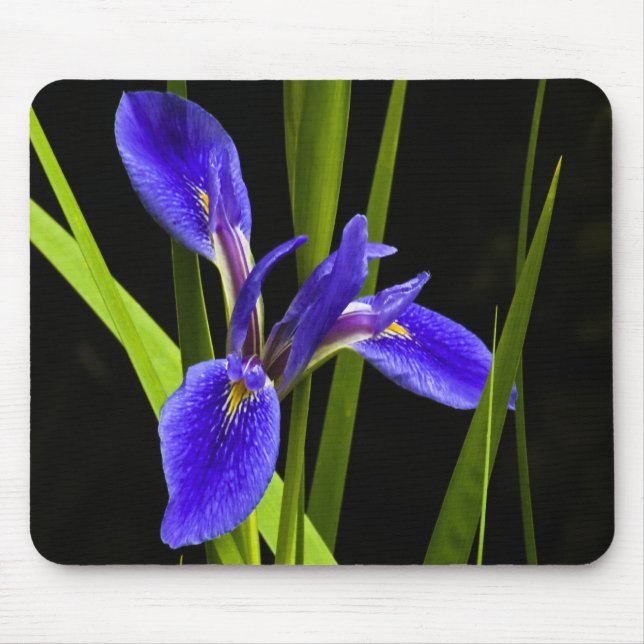 Tapis De Souris Iris bleu Mousepad (Devant)