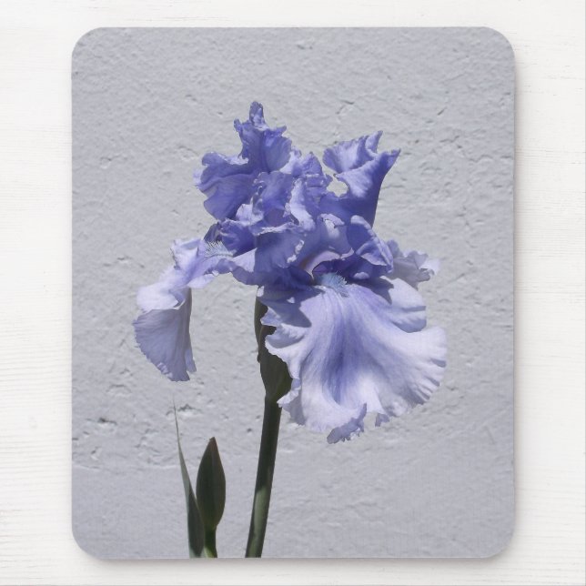 Tapis De Souris Iris Bloom (Devant)