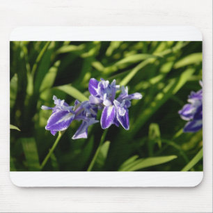Tapis De Souris Iris Mousepad