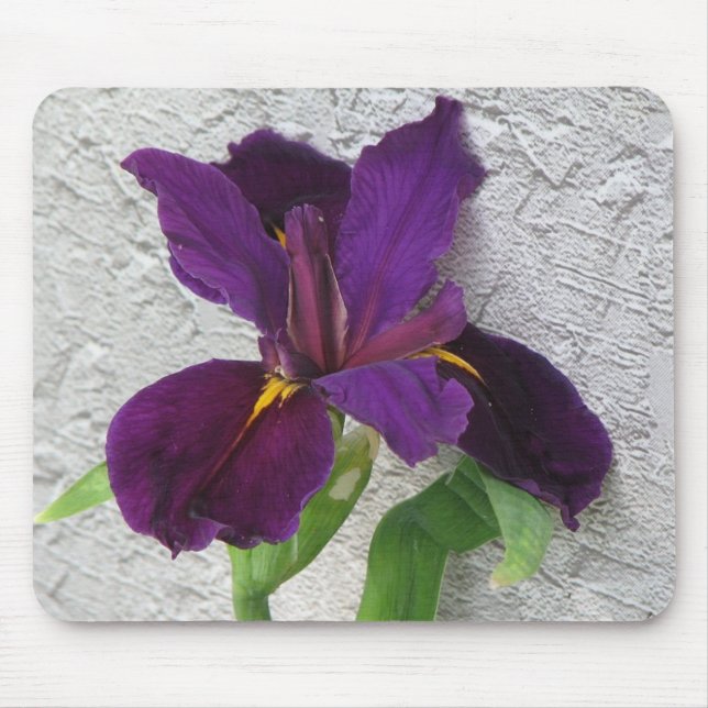 Tapis De Souris Iris pourpre (Devant)
