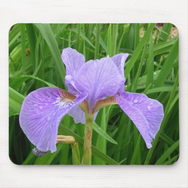 Tapis De Souris Iris pourpre (Devant)