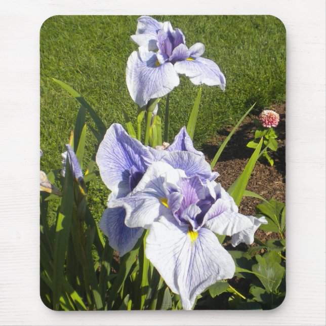 Tapis De Souris Iris pourpre Mousepad (Devant)