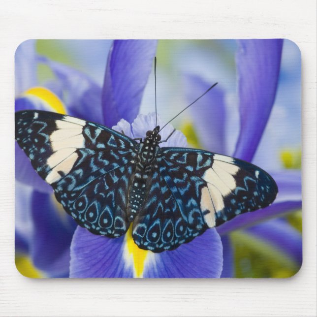 Tapis De Souris Iris Pourpre Papillon Tropical (Devant)