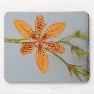 Tapis De Souris Iris tacheté d'orange appelé une  lili iris tigré