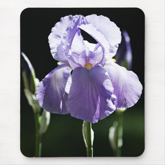 Tapis De Souris Iris Violet 8393 Mousepad (Devant)