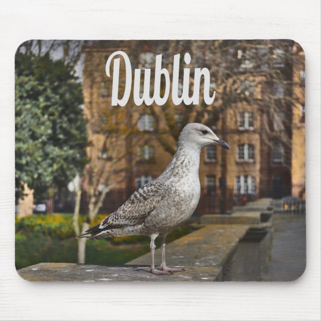 Tapis De Souris Irlande de Dublin Bird sur mur de briques (Devant)