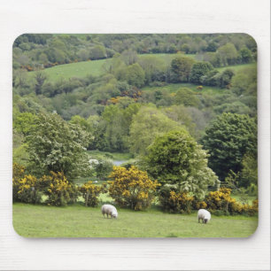 Tapis De Souris Irlande occidentale, presqu'île de Dingle, large